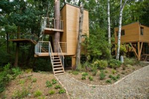Domki na drzewach – jak je zbudować oraz ile kosztują?
