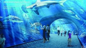 Kiedy w końcu powstanie oceanarium Gdańsk?