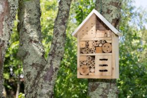 Domek dla pszczół w Twoim ogrodzie