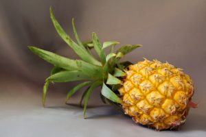 Jak rosną ananasy i czy można je uprawiać w domu?