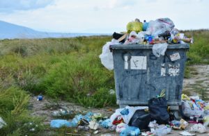 Jak segregować śmieci? Pojemniki i zasady recyklingu