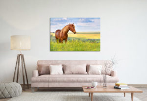 Piękne obrazy koni do naszego salonu