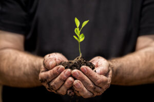 Growbox – zestaw do uprawy roślin