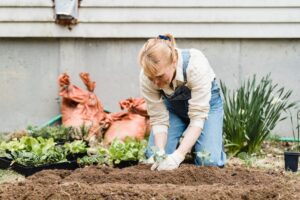 Wiosenne porządki w ogrodzie – jak się przygotować?